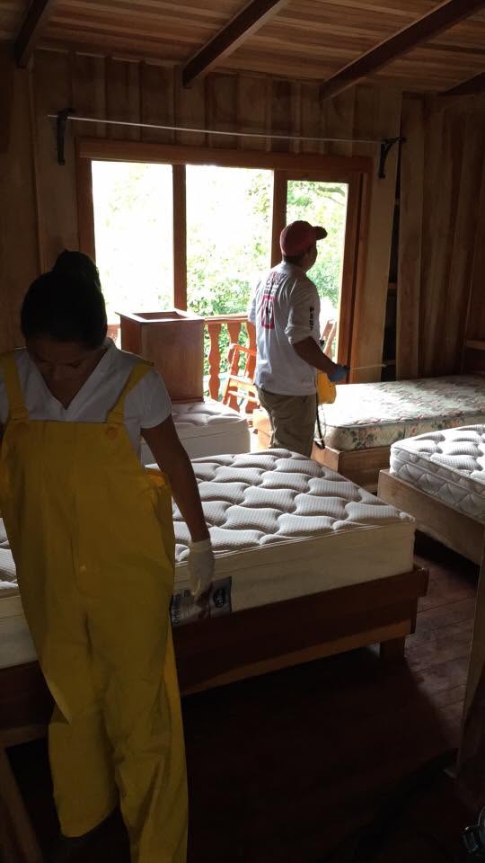 Servicio de fumigacion en habitacion de hospedaje