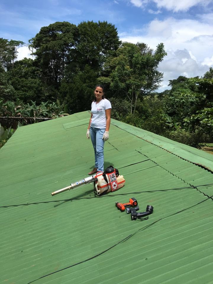 Trabajo tecnico sobre cubierta verde