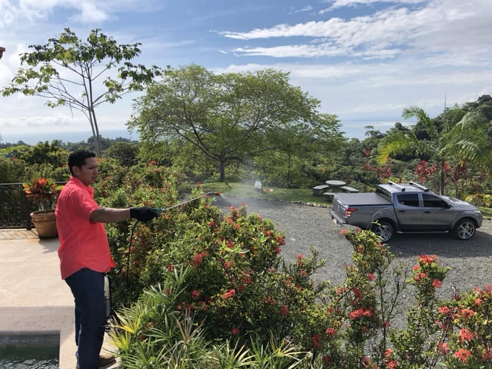 Fumigacion en propiedad con vista al mar